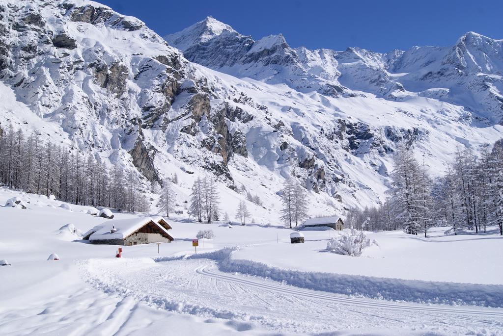 23 Praz De L'Ours Vallandry - Les Arcs 페이세낭크로아 외부 사진